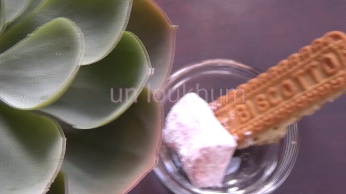 biscotto biscotti Copy 01.00_00_01_18.Still001