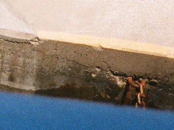 2.00_00_00_13.Still011