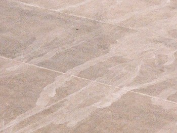 2.00_00_00_28.Still006