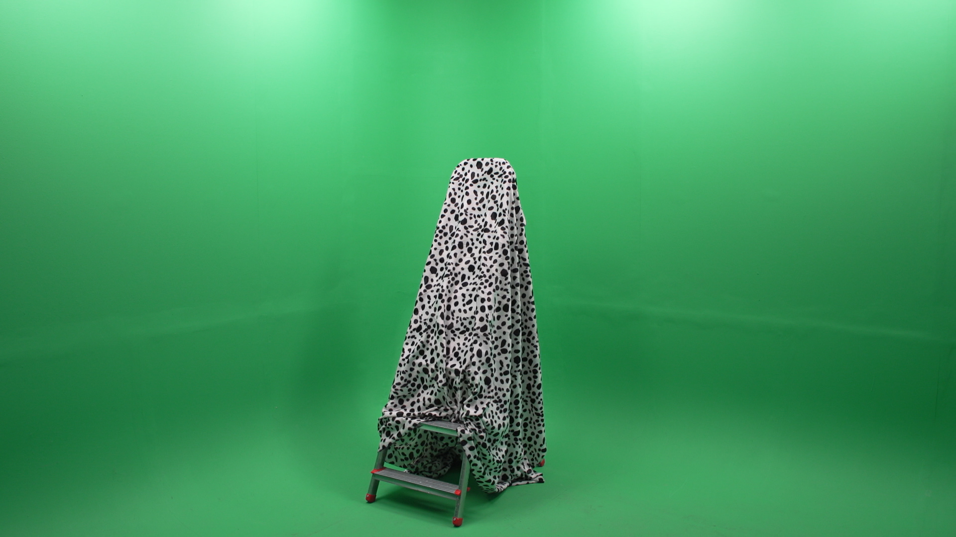 A poison tree.00_00_00_00.Still001