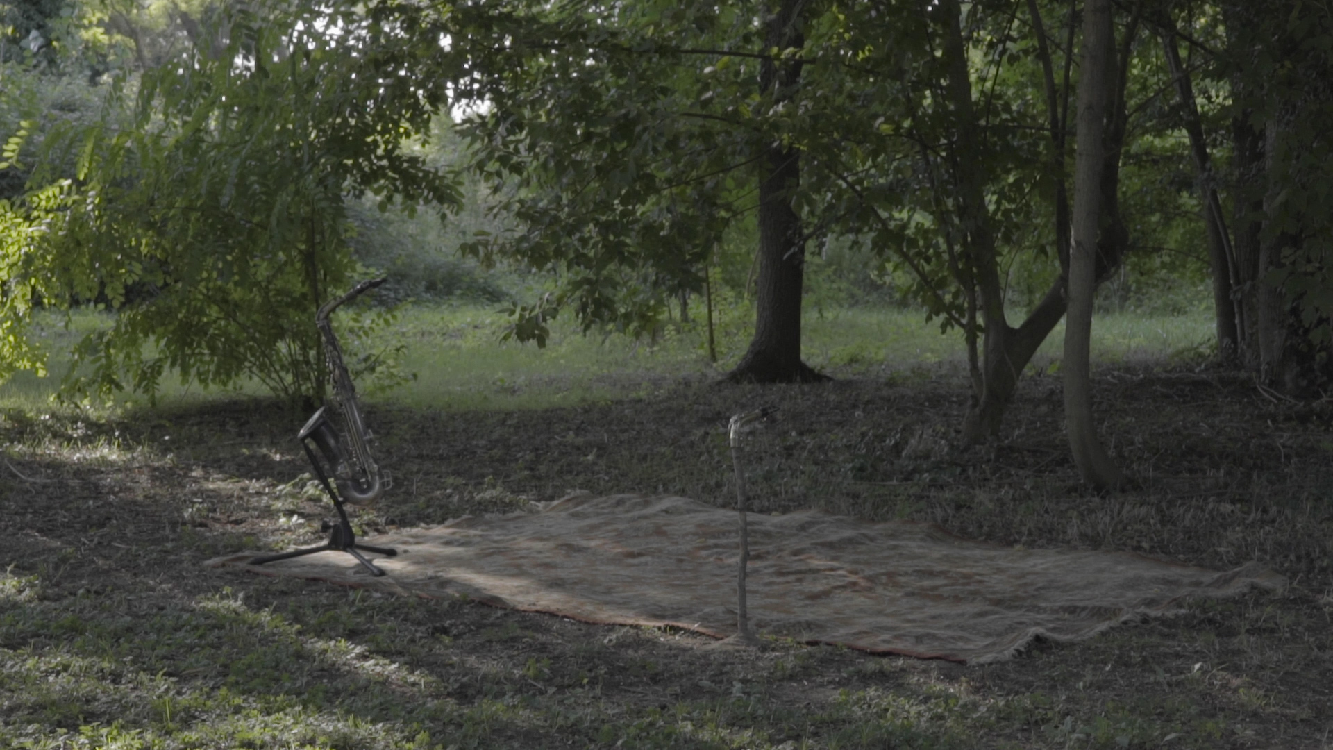 TEST8.00_00_22_21.Still005